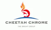Cheetah Chrome